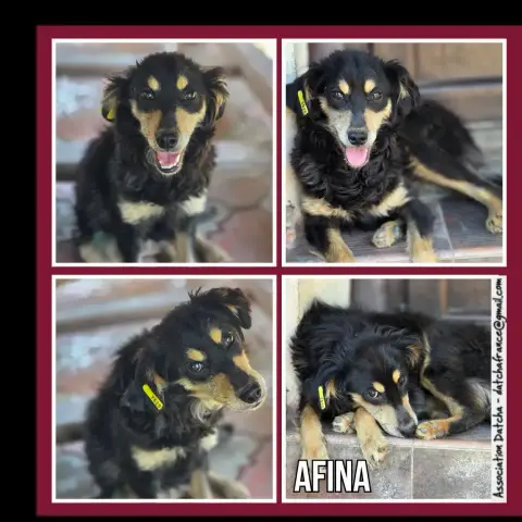 Afina