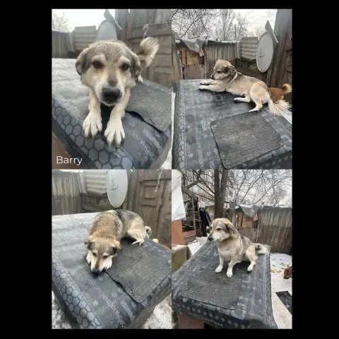 Barry