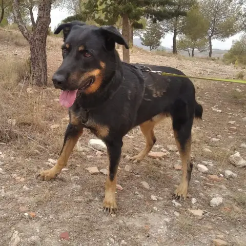 Max photo 2