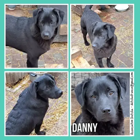 Danny