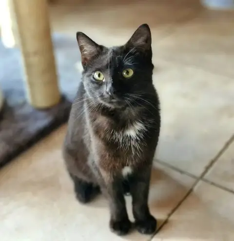 Luna