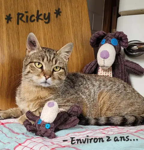 Ricky