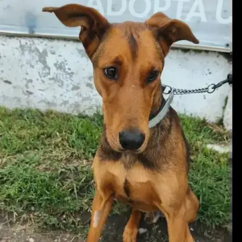 Zeus photo 3