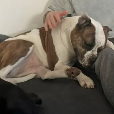 Maya photo 3