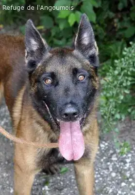 Chupa