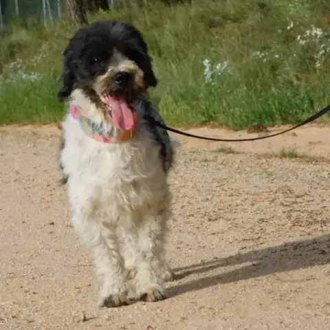 Bob photo 2