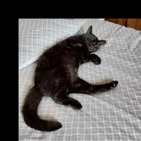 Diane photo 2