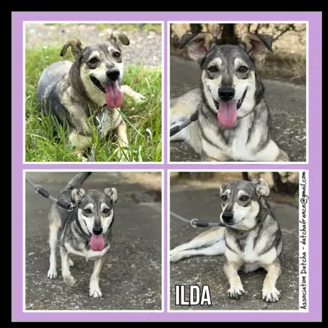 Ilda