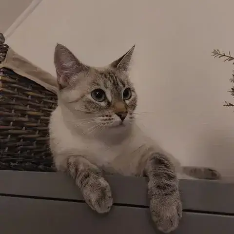 Mia photo 2