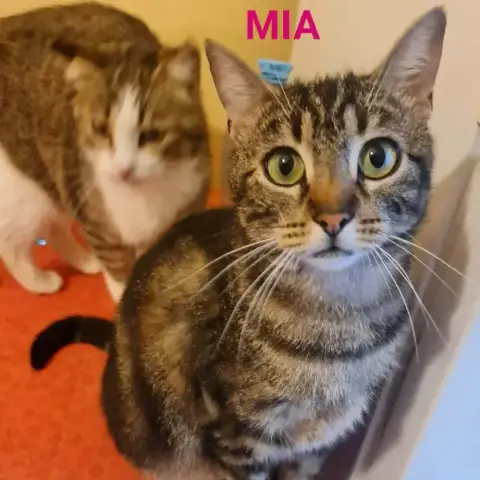 Mia photo 2