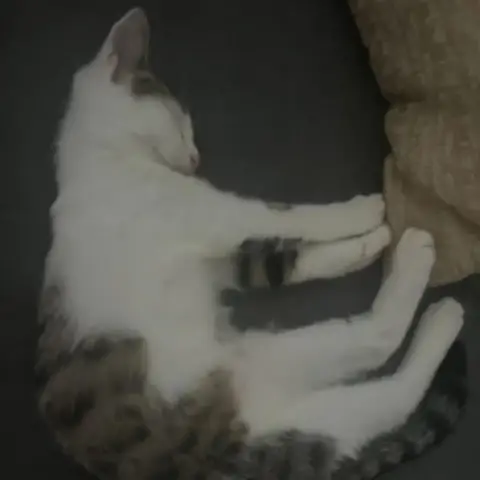 Atchoum photo 3