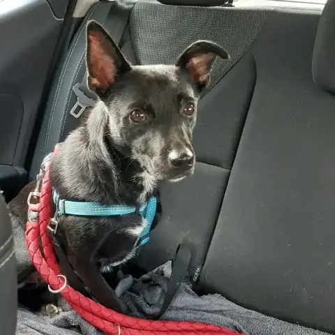 Zoe photo 3