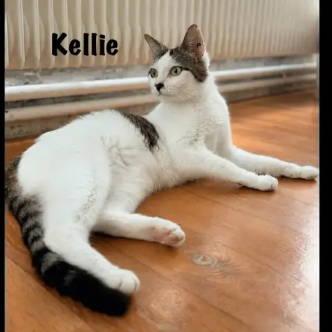 Kellie photo 2