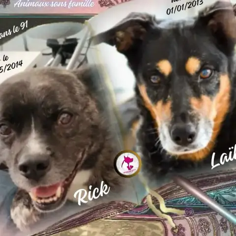Rick & Laïka