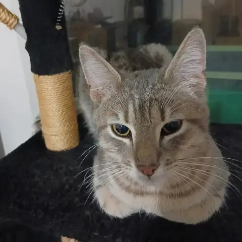 Marley