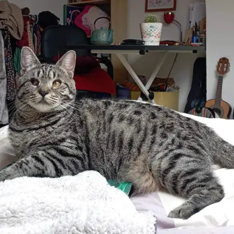 Bonnie