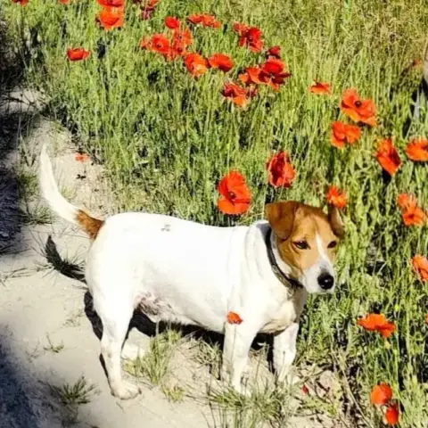 Atzo photo 2