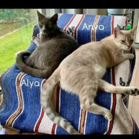 Anya Et Alya photo 2