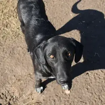 Angela