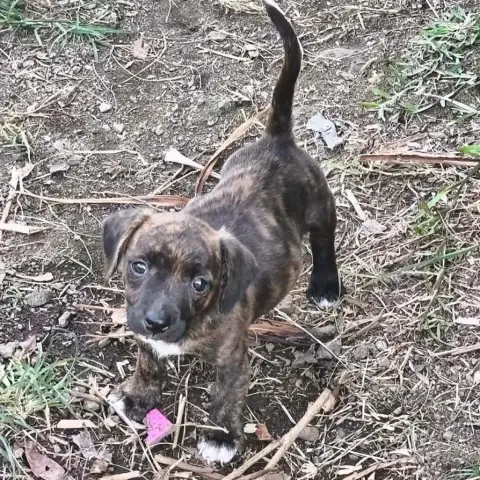 Nora