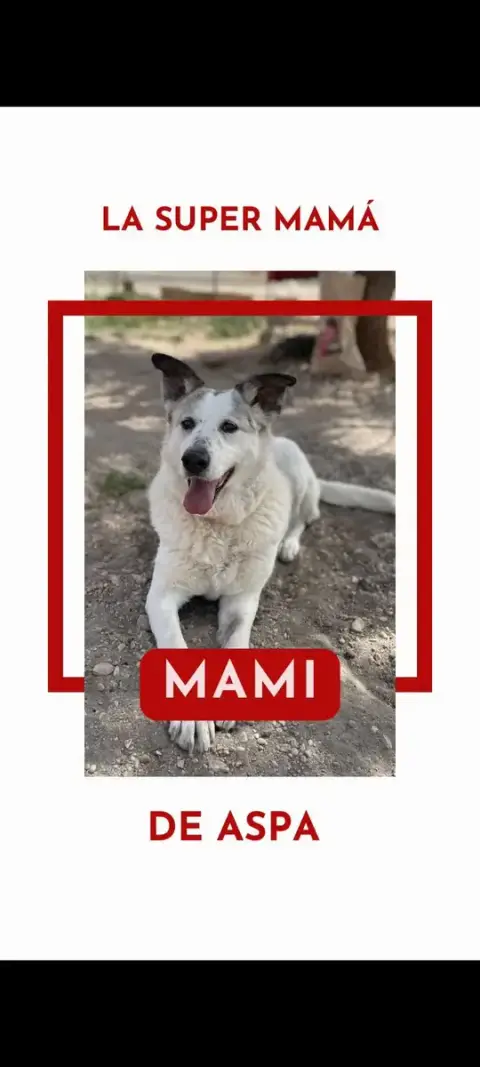 Mami photo 2