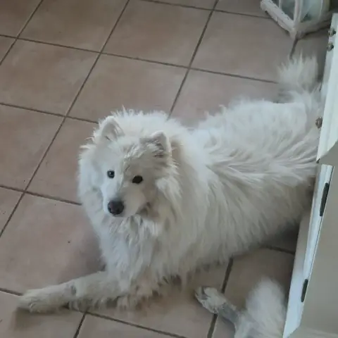 Athos photo 2