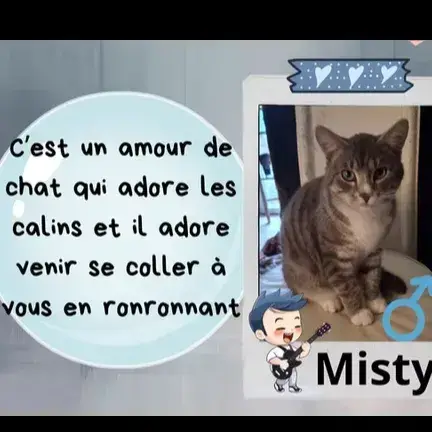 Misty Et Triscotte