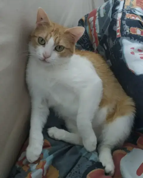 Squeezie