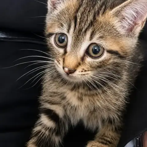 Mignon photo 2