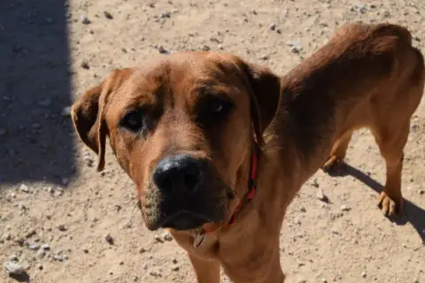 Hercules photo 3