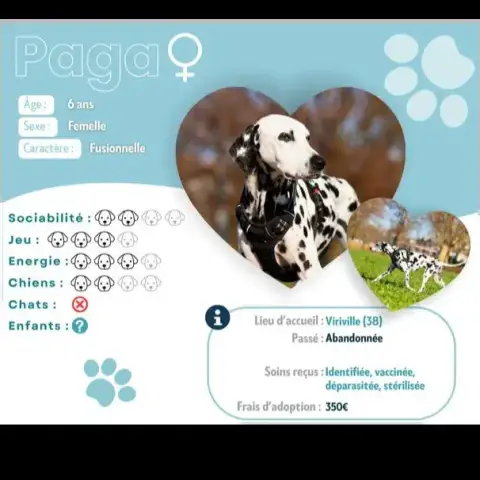 Paga