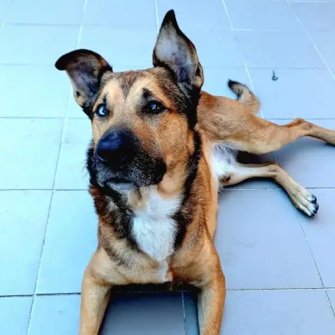 Saïko photo 2