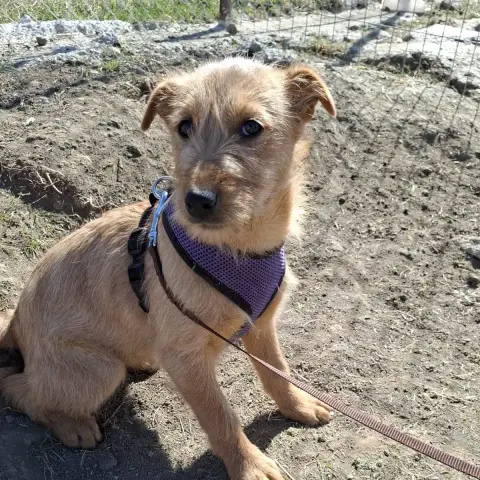 Wanda photo 2