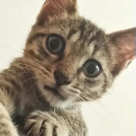 Zoe
