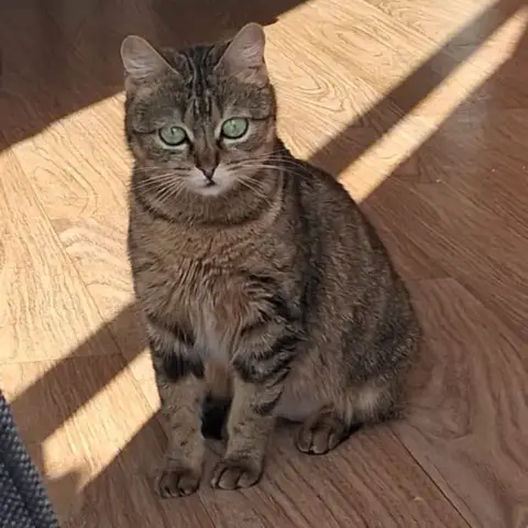 Kassandra