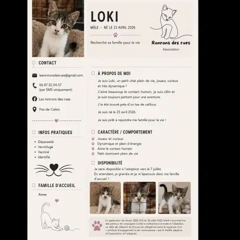 Loki photo 3