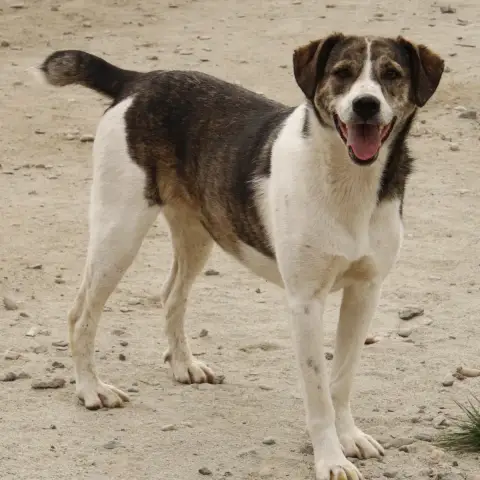 Sue photo 3