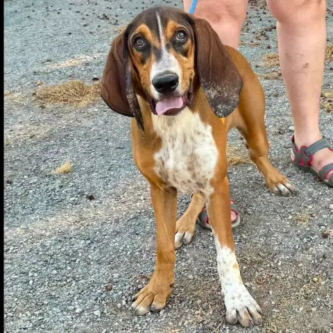 Charlie