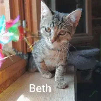 Beth