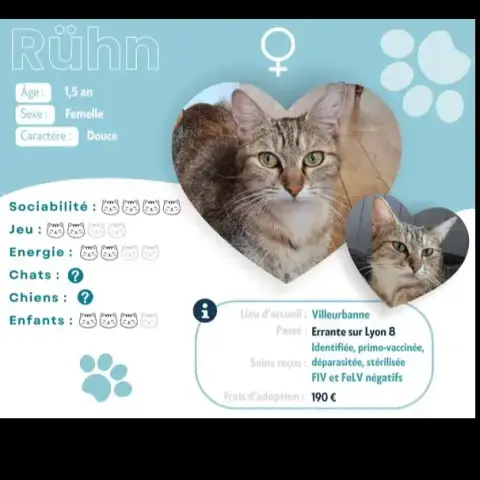 Rühn
