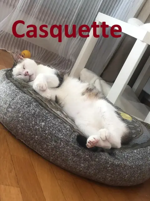 Casquette