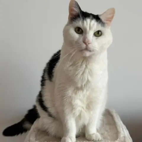 Mimi