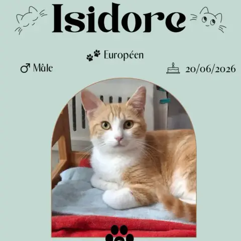 Isidore