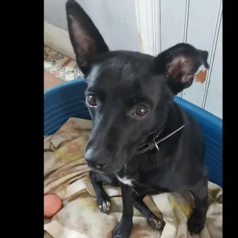Zoe
