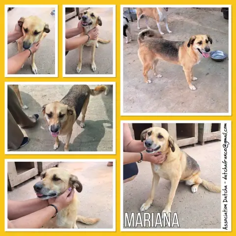 Mariana