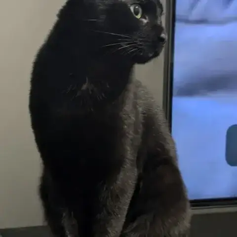 Zora photo 3