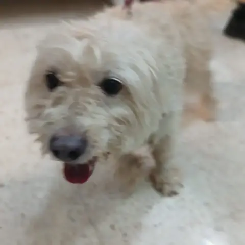 Lucky photo 2
