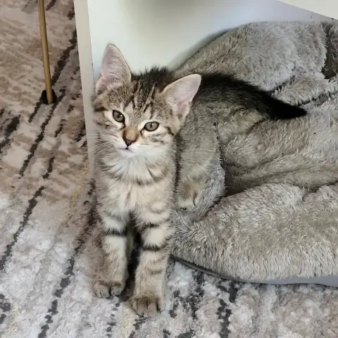 Sophie