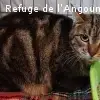 Raïssa