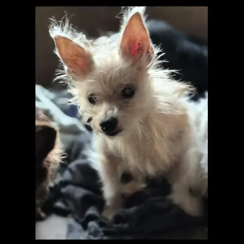 Bébelle photo 3
